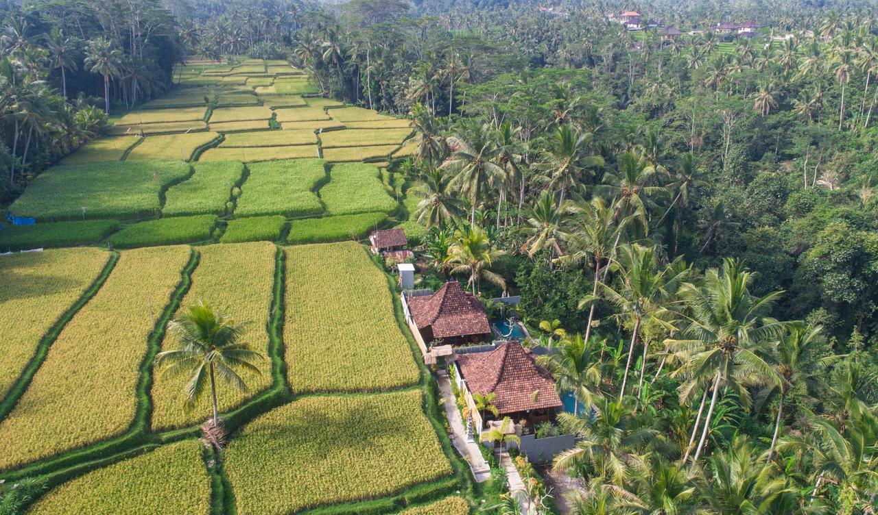 Mandana Ubud Villa Exterior foto